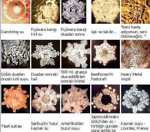 Su canlı mı yoksa?! Japon bilim adamları yine şaşırttı!