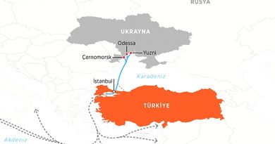 Tahıl koridorundan bir haftada 10 gemiyle 305 bin ton sevkiyat gerçekleşti